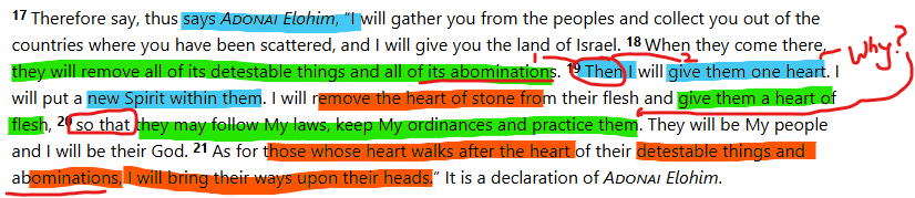 Marked Ezeikel 11_17-20.png